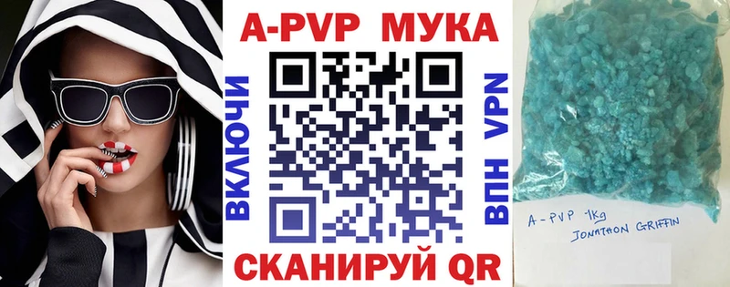 A PVP СК  Мезень 