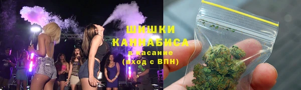 индика Медвежьегорск