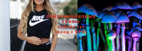 Альфа ПВП Михайловск