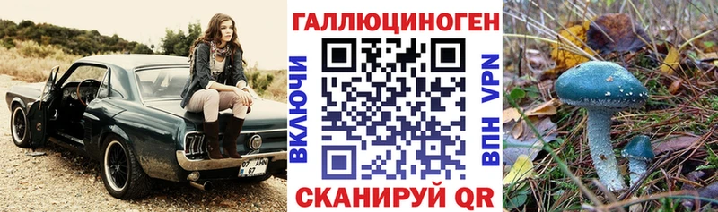 Галлюциногенные грибы GOLDEN TEACHER  дарнет шоп  Мезень 