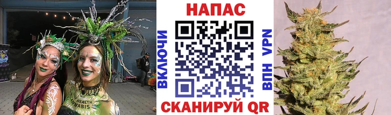 МАРИХУАНА индика  OMG как войти  Мезень 